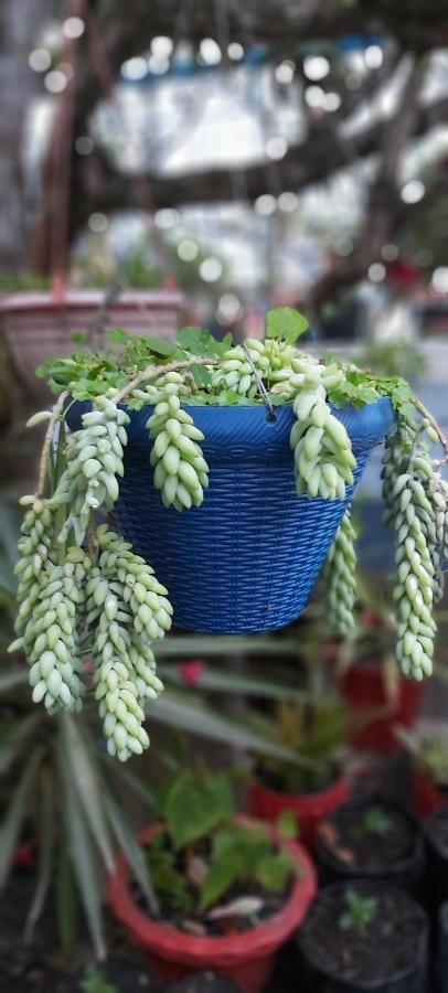 The Shire Kalimpong Hotel Luaran gambar